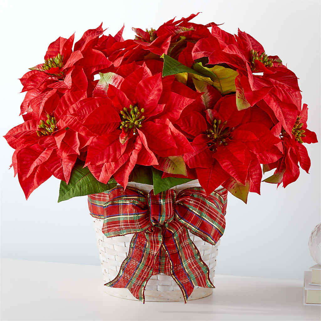 Happiest Holidays Poinsettia – Eaton Floral Inc, Eaton OH