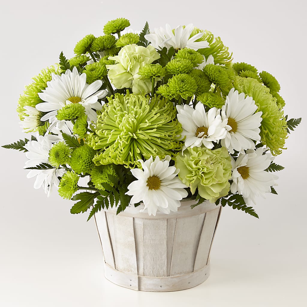 Lucky Charm Basket (Standard) – Eaton Floral Inc, Eaton OH