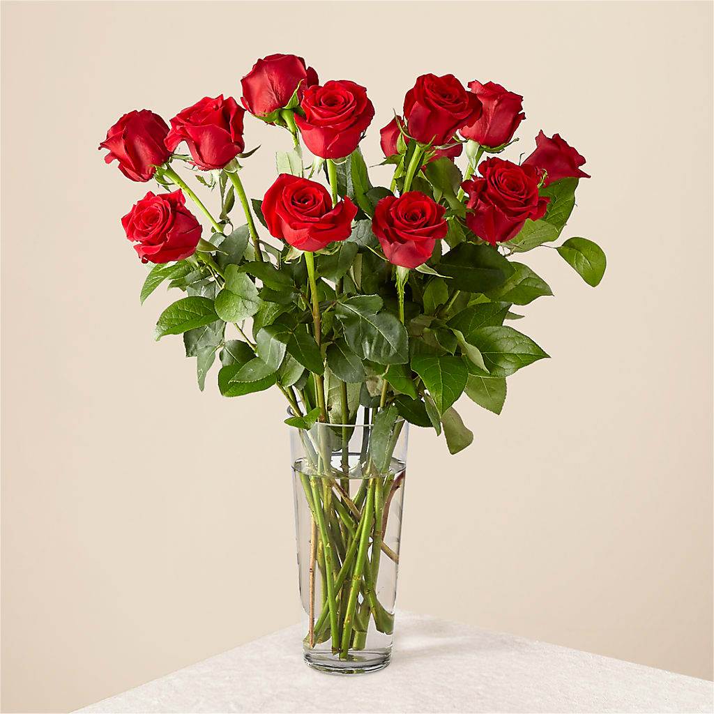 Long Stem Red Rose Bouquet – Eaton Floral Inc, Eaton OH