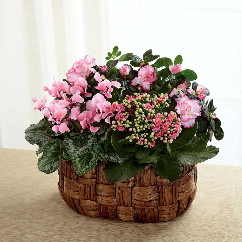 Pink Assortment – Eaton Floral Inc, Eaton OH