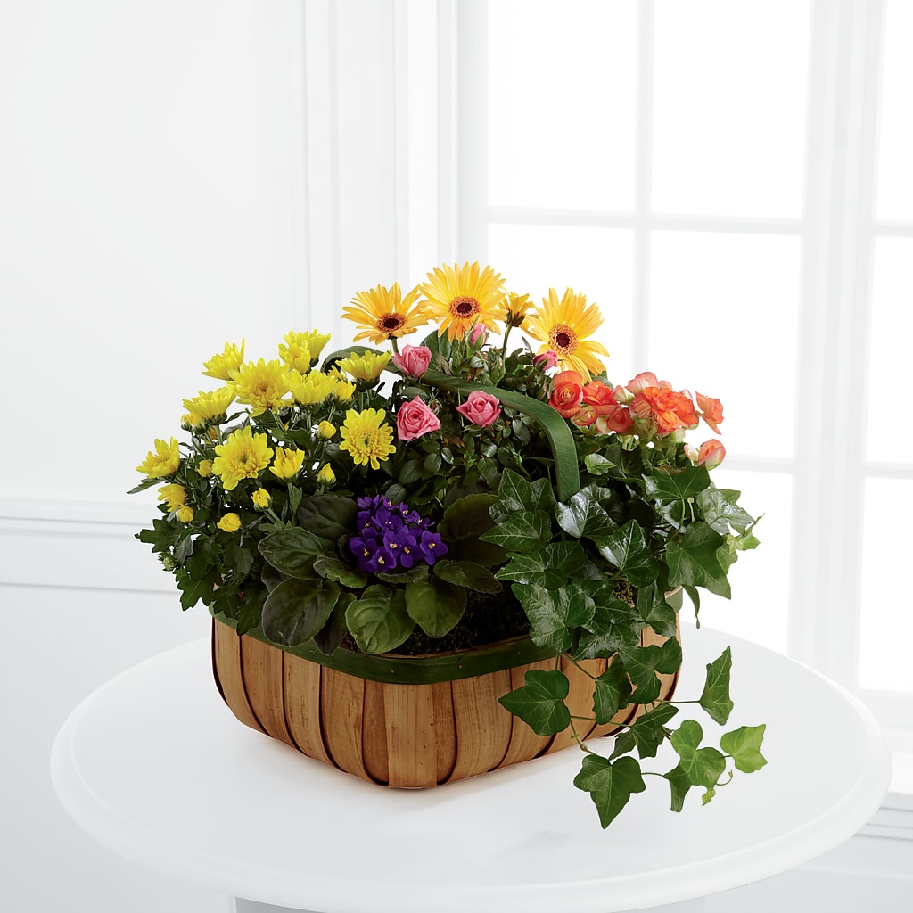 Gentle Blossoms Basket – Eaton Floral Inc, Eaton OH