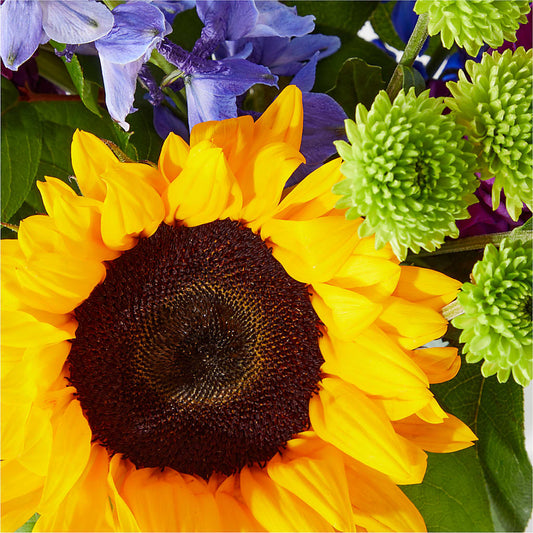 Catching Rays Bouquet – Eaton Floral Inc, Eaton OH