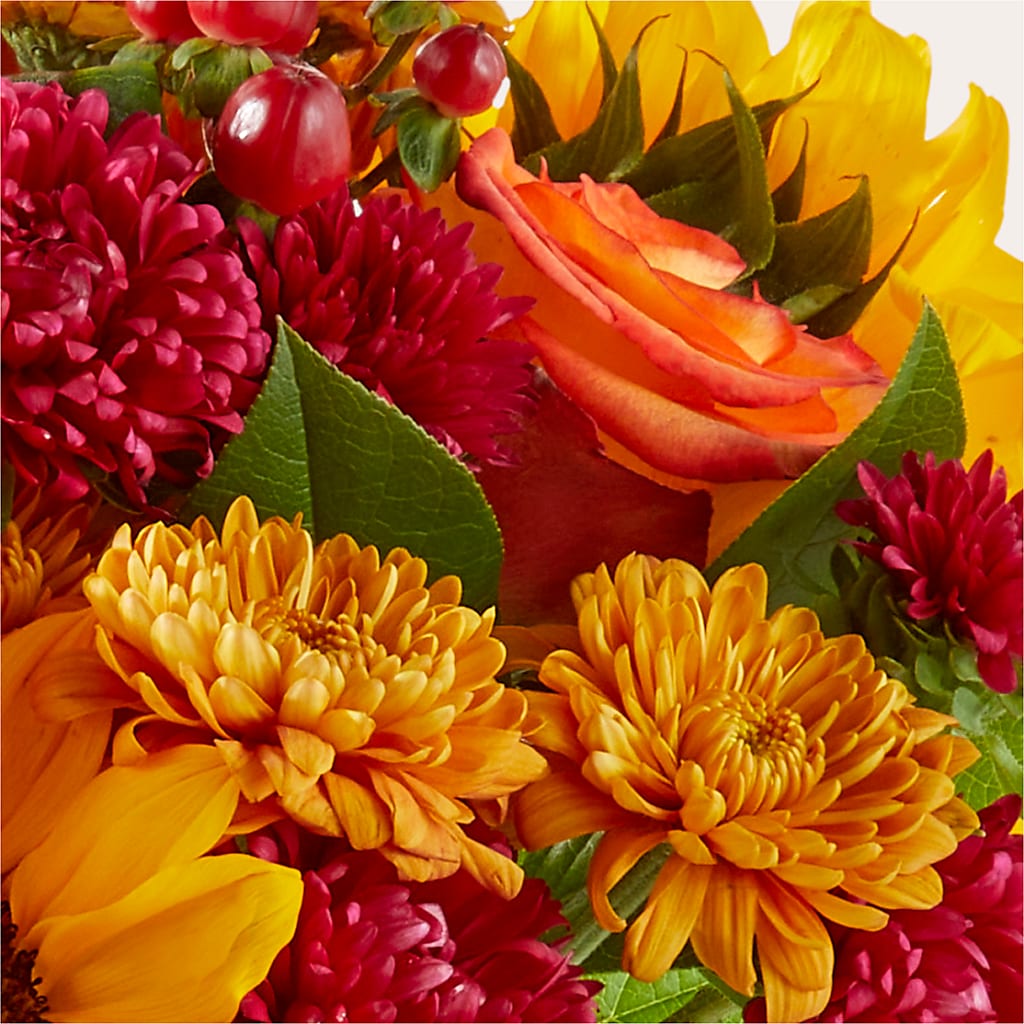 Sweater Season - A Florist Original – Eaton Floral Inc, Eaton OH