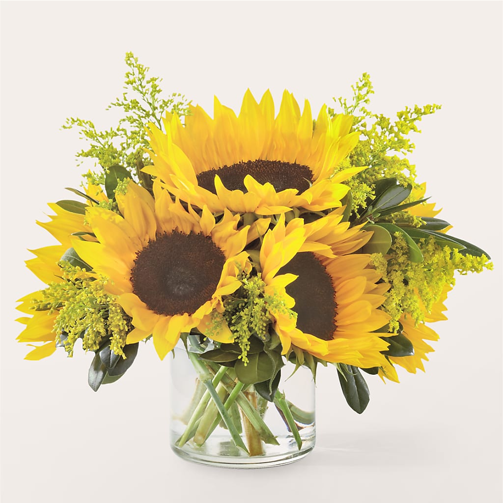 Beaming Sunflower Bouquet – Eaton Floral Inc, Eaton OH