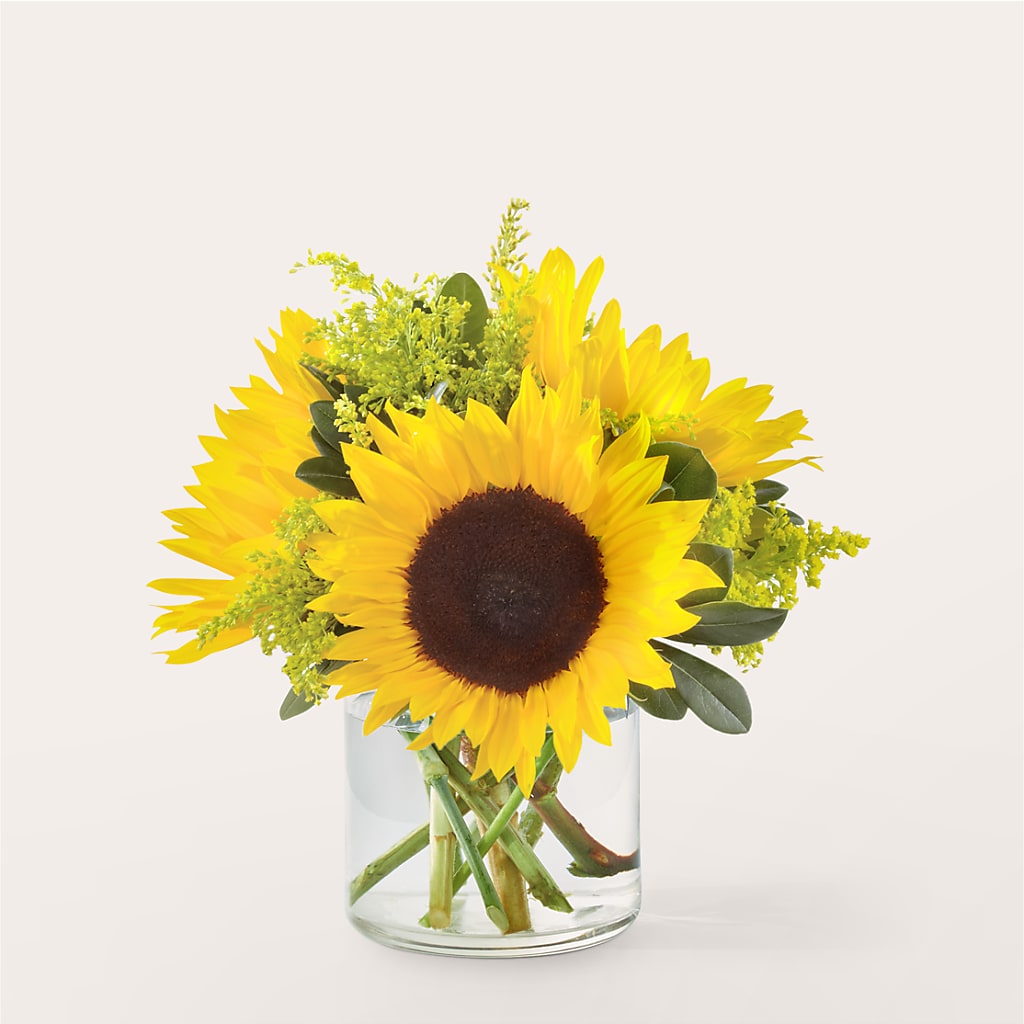 Beaming Sunflower Bouquet – Eaton Floral Inc, Eaton OH