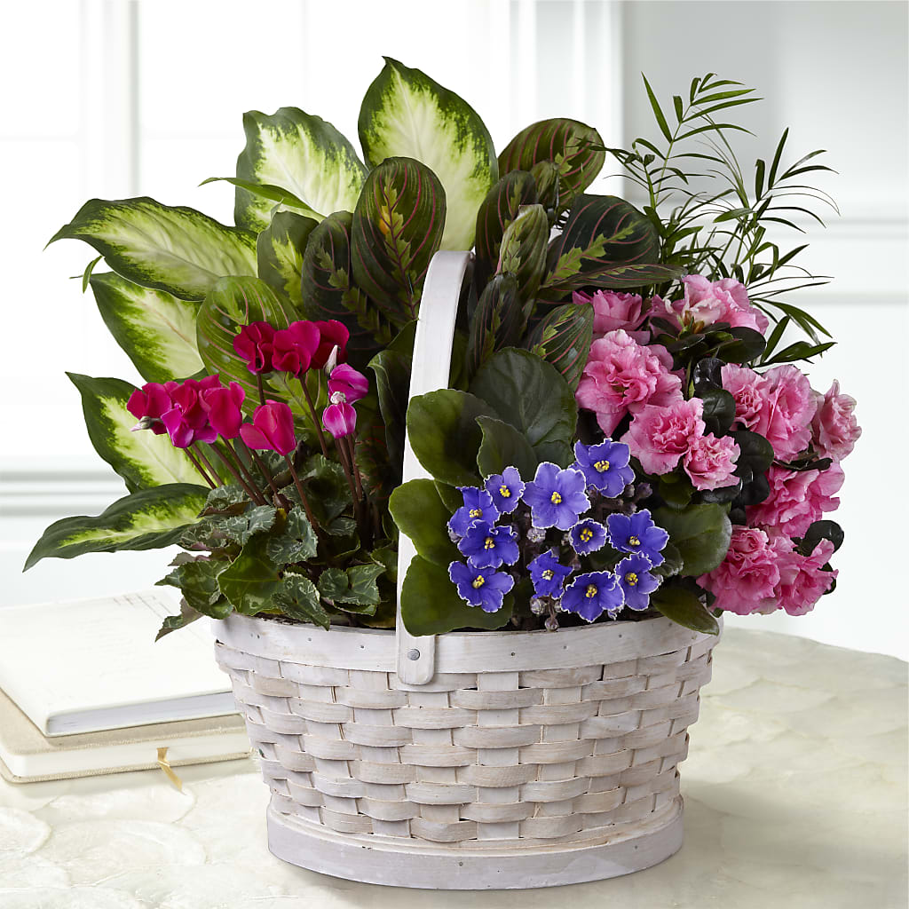 Peaceful Garden Planter – Eaton Floral Inc, Eaton OH