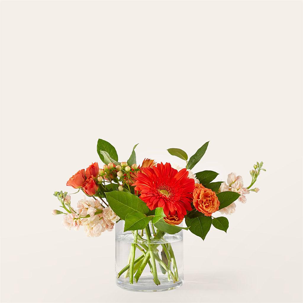 Paloma Please Bouquet – Eaton Floral Inc, Eaton OH