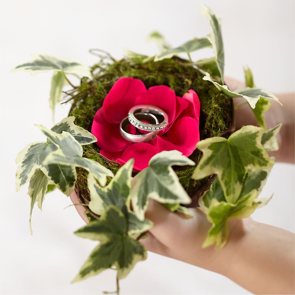 Lila Rose Ring Nest – Eaton Floral Inc, Eaton OH