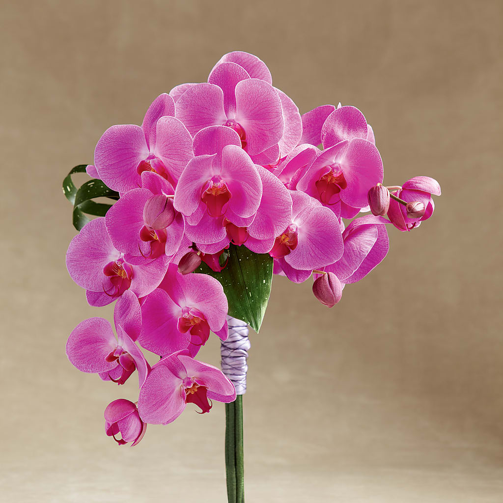 Glorious Bouquet – Eaton Floral Inc, Eaton OH