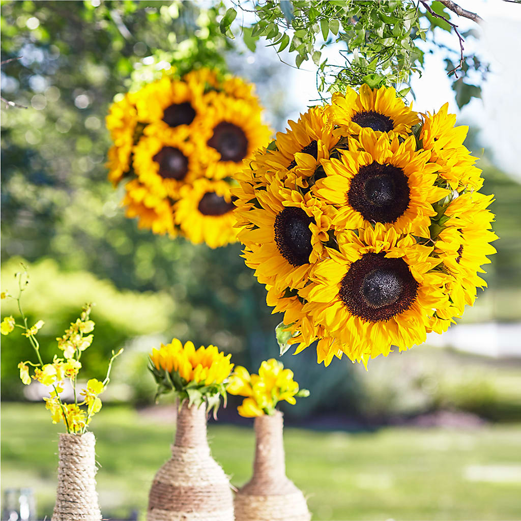 Sublime Garden Hanging Arrangement – Eaton Floral Inc, Eaton OH