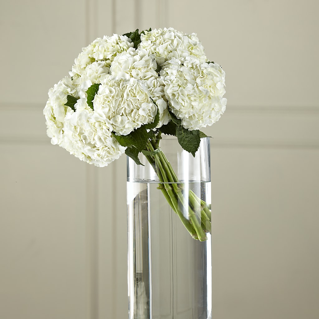 White Hydrangea Hand-Tied Bouquet – Eaton Floral Inc, Eaton OH