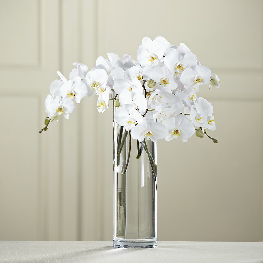White Phalaenopsis Bouquet – Eaton Floral Inc, Eaton OH