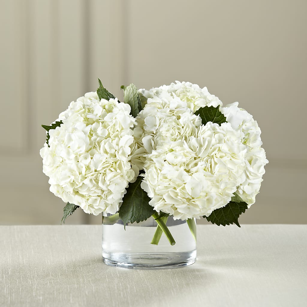 White Hydrangea Bouquet – Eaton Floral Inc, Eaton OH
