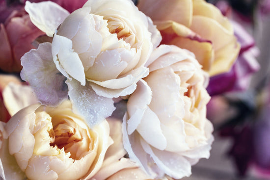 Eaton Rd Flower Winter flowers in Eaton, OH | Eaton Floral Inc – Local Flower Delivery