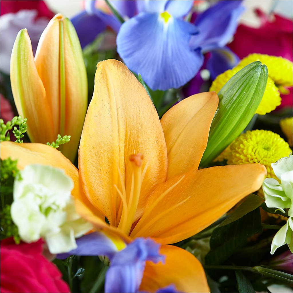 Bold & Bright – A Florist Original –  Eaton Floral Inc, Eaton OH