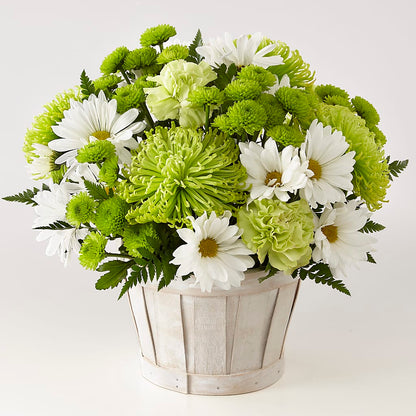 Lucky Charm Basket (Standard) –  Eaton Floral Inc, Eaton OH