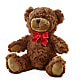 Adorable Plush Bear –  Eaton Floral Inc, Eaton OH