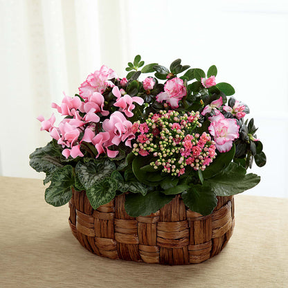 Pink Assortment –  Eaton Floral Inc, Eaton OH