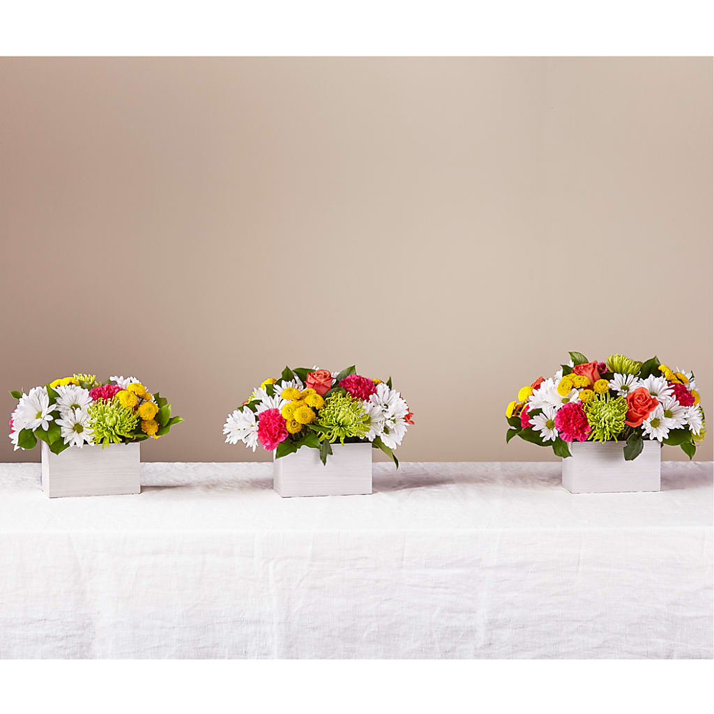 Sorbet Bouquet –  Eaton Floral Inc, Eaton OH