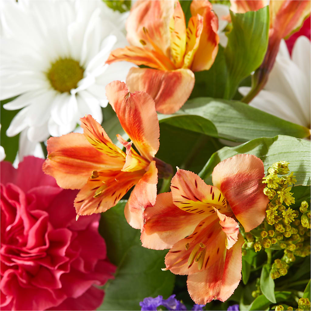 Oopsie Daisy Box Bouquet –  Eaton Floral Inc, Eaton OH