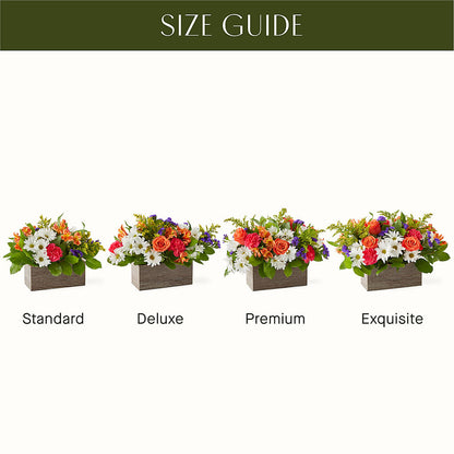 Oopsie Daisy Box Bouquet –  Eaton Floral Inc, Eaton OH