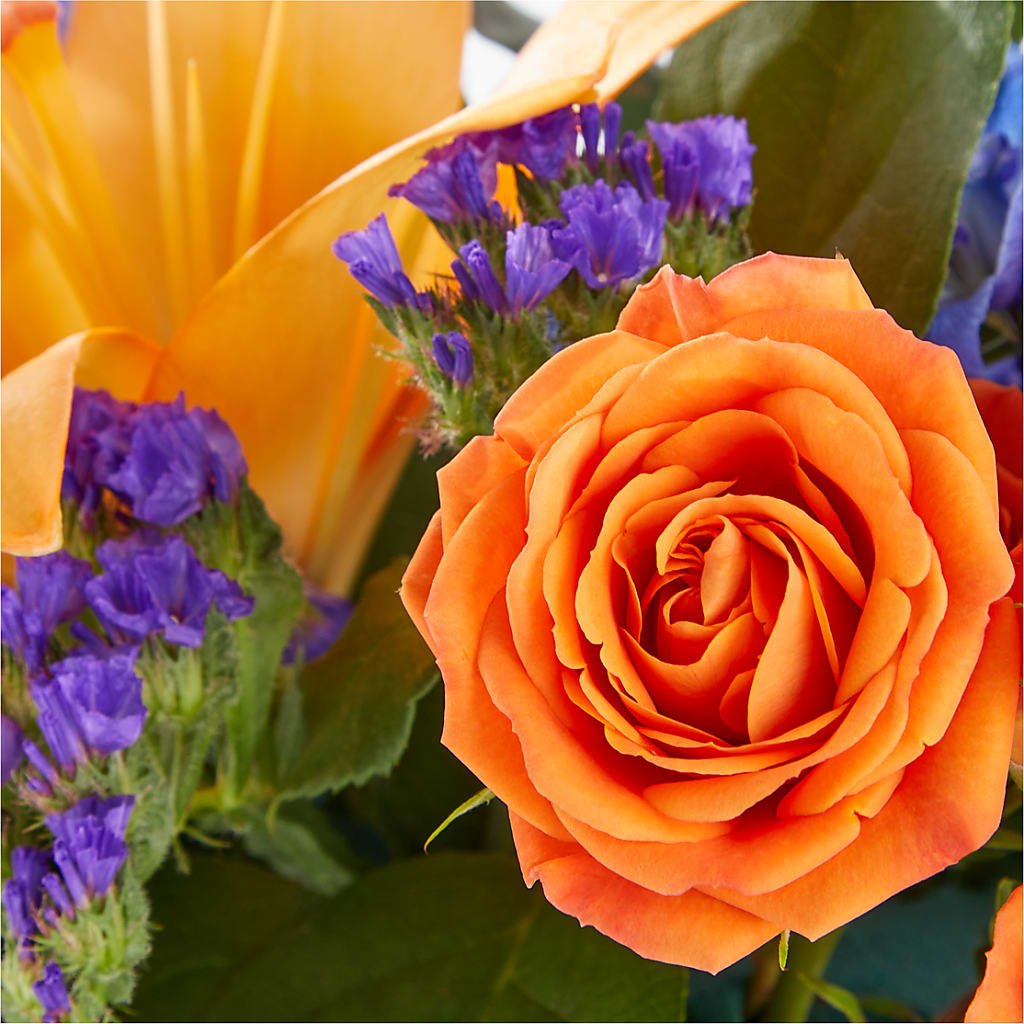 Radiant Citrus Box Bouquet –  Eaton Floral Inc, Eaton OH