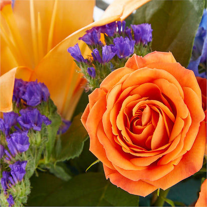 Radiant Citrus Box Bouquet –  Eaton Floral Inc, Eaton OH