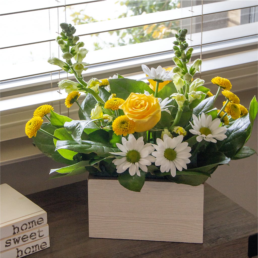 Sun Salutation Box Bouquet –  Eaton Floral Inc, Eaton OH