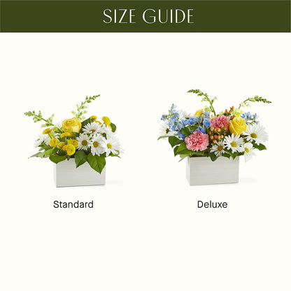 Sun Salutation Box Bouquet –  Eaton Floral Inc, Eaton OH