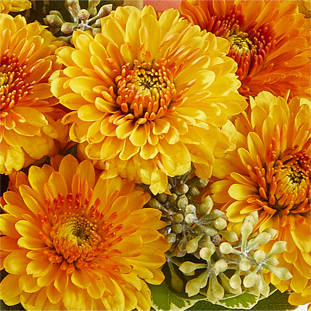 Peachy Pumpkin –  Eaton Floral Inc, Eaton OH