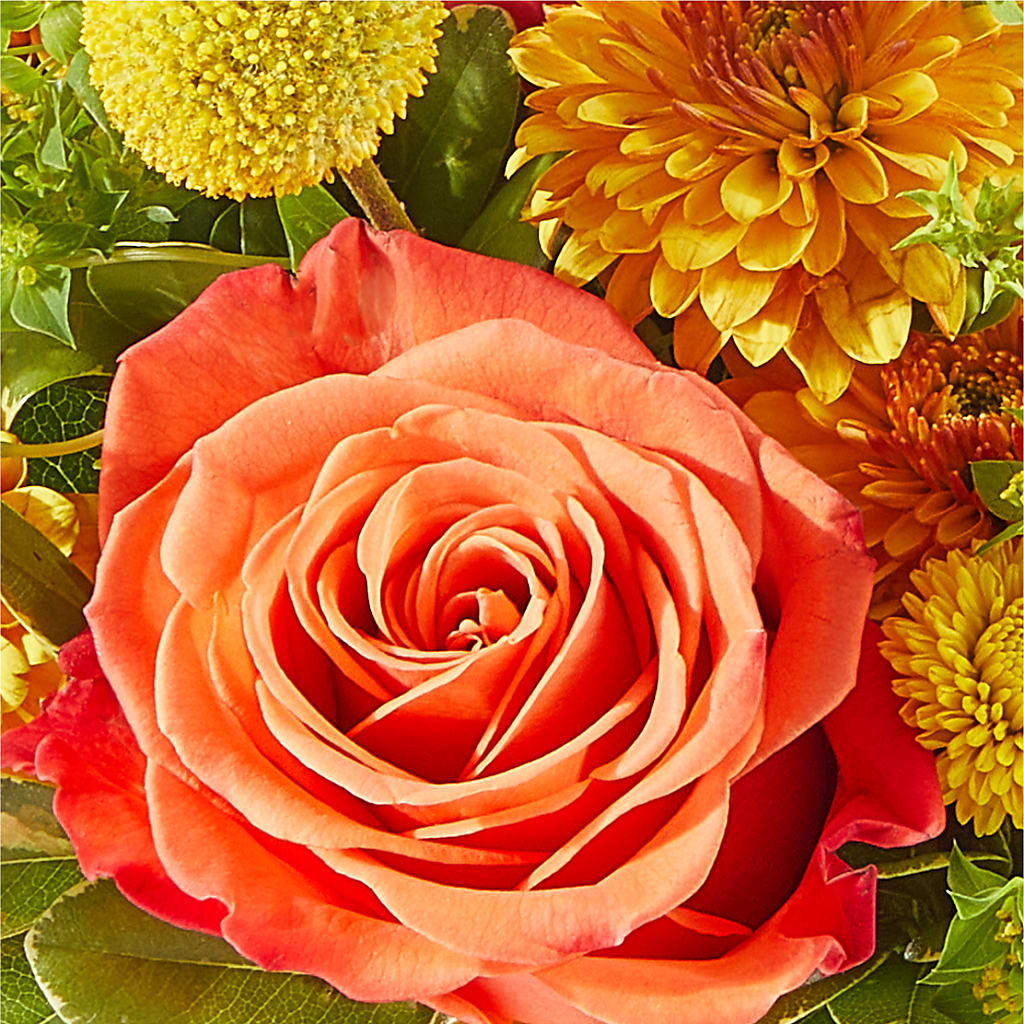 Gourdgeous Pumpkin –  Eaton Floral Inc, Eaton OH