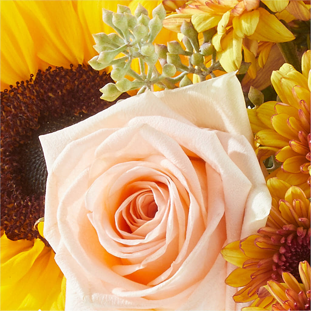Pumpkin to Talk About Bouquet –  Eaton Floral Inc, Eaton OH