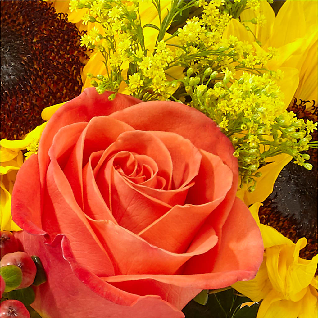 Pick of the Patch Pumpkin Bouquet –  Eaton Floral Inc, Eaton OH