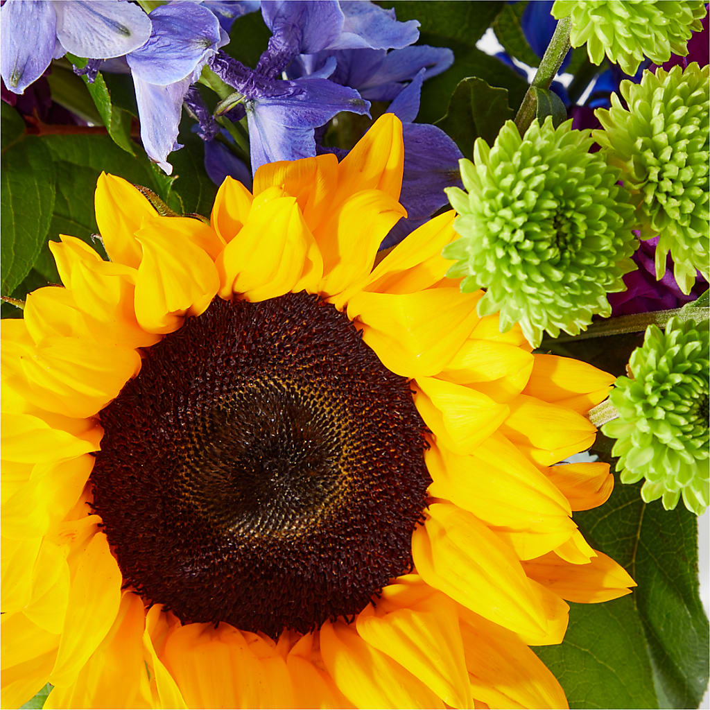 Catching Rays Bouquet –  Eaton Floral Inc, Eaton OH