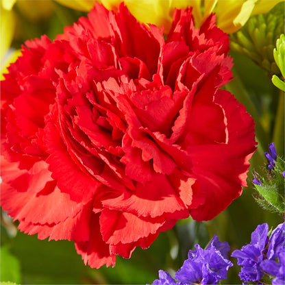 Brighter Days Bouquet –  Eaton Floral Inc, Eaton OH