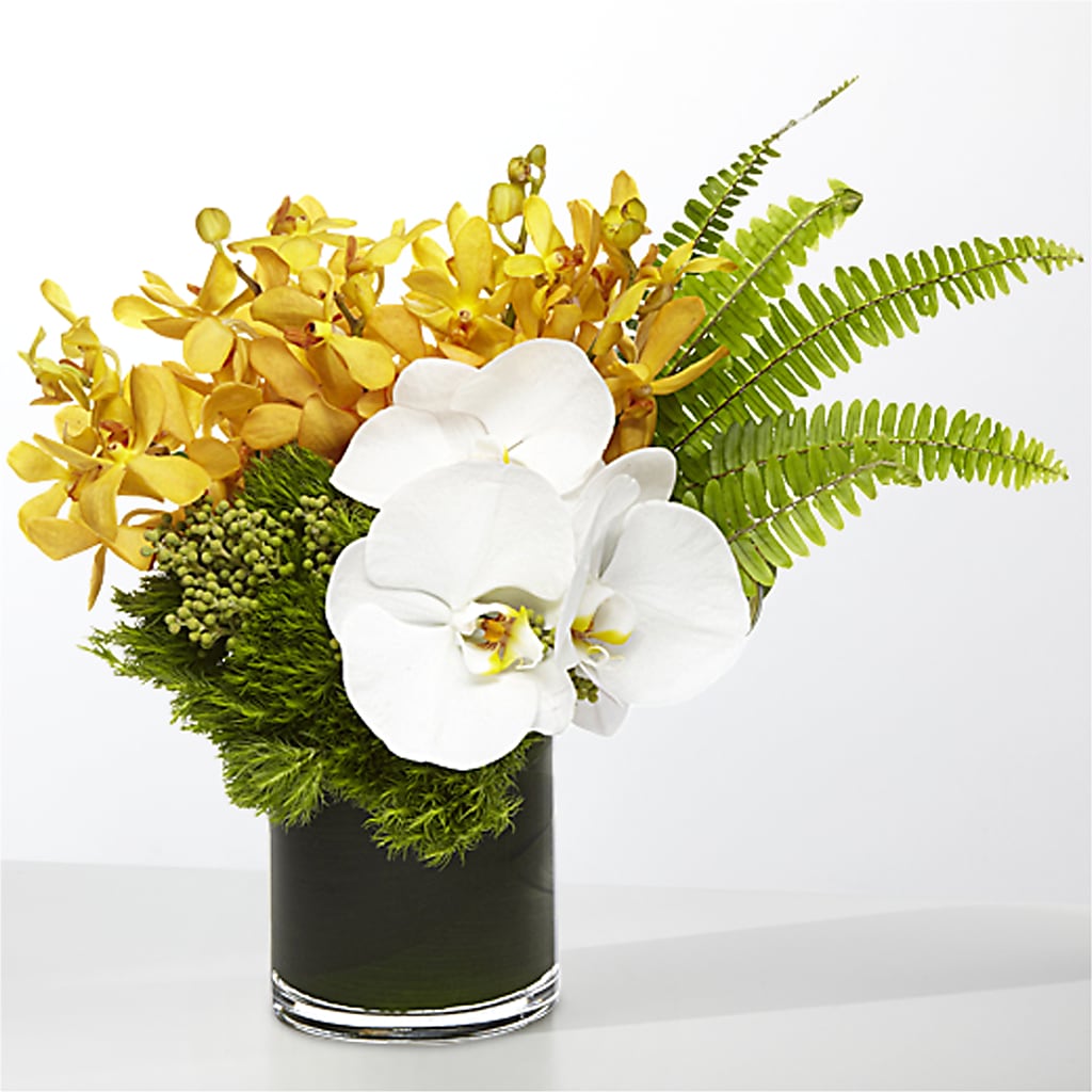 The Tropics –  Eaton Floral Inc, Eaton OH