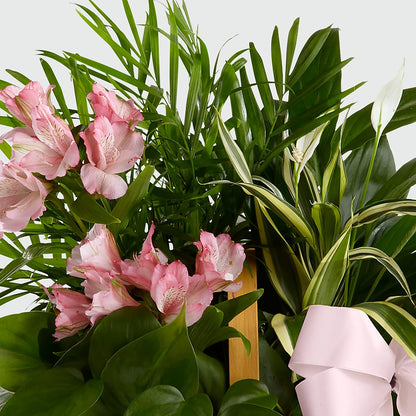 Living Spirit Dishgarden –  Eaton Floral Inc, Eaton OH