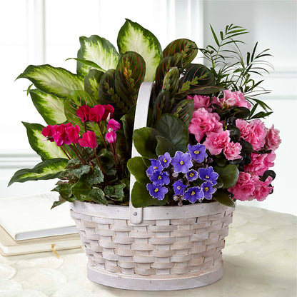 Peaceful Garden Planter –  Eaton Floral Inc, Eaton OH