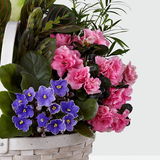 Peaceful Garden Planter –  Eaton Floral Inc, Eaton OH