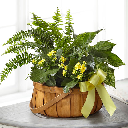 Always Dear Dishgarden –  Eaton Floral Inc, Eaton OH