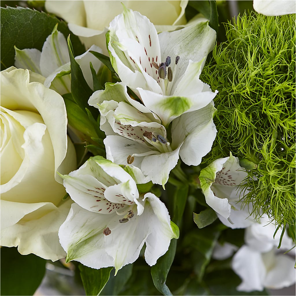 Classic Ivory – A Florist Original –  Eaton Floral Inc, Eaton OH