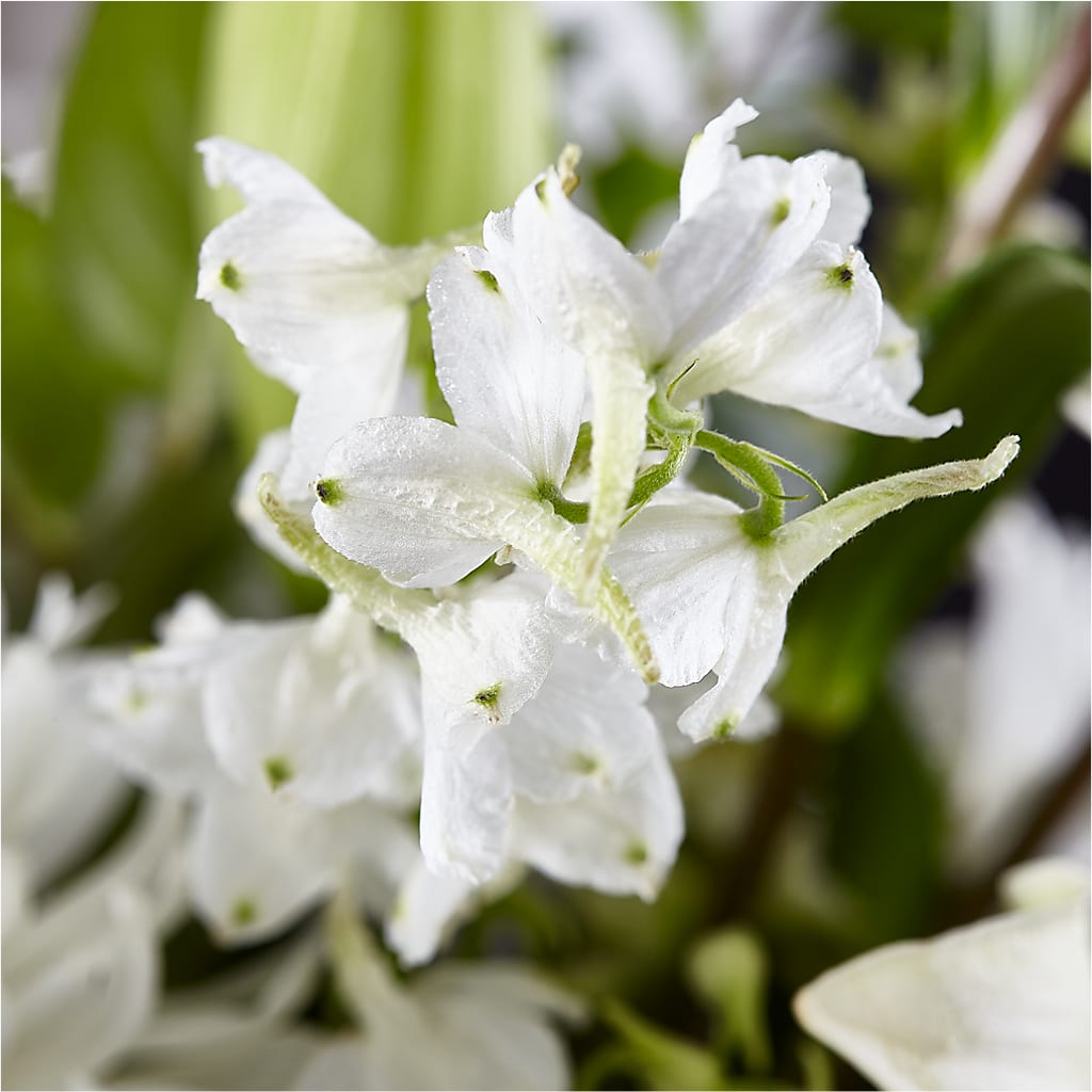 Classic Ivory – A Florist Original –  Eaton Floral Inc, Eaton OH