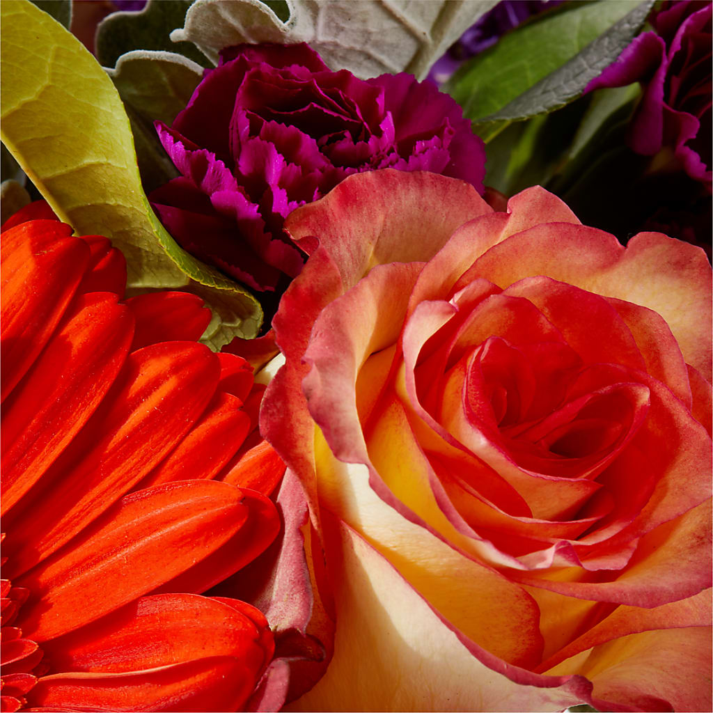 Sangria Bouquet –  Eaton Floral Inc, Eaton OH