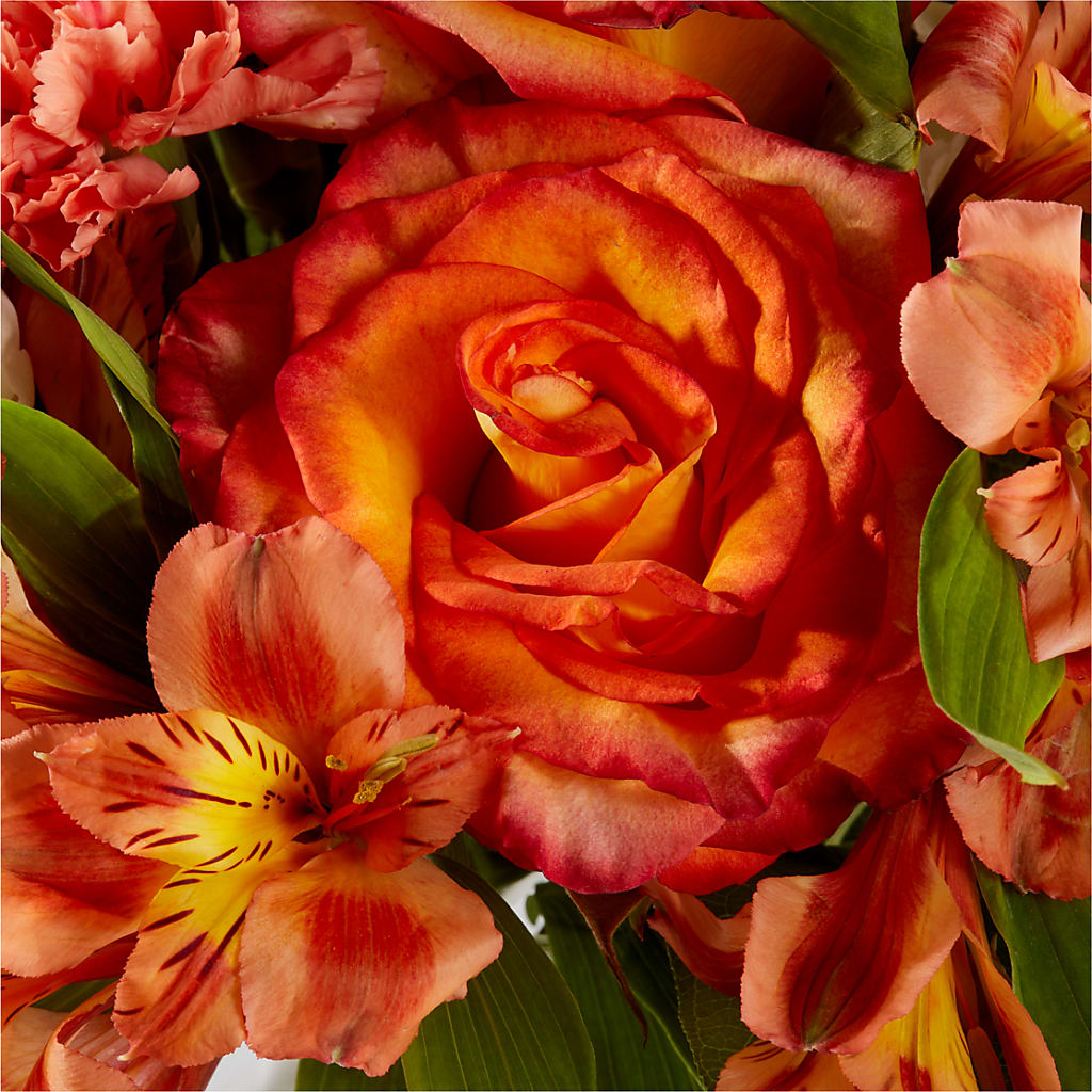 Apricot Glow Bouquet –  Eaton Floral Inc, Eaton OH