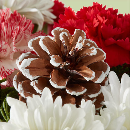 Candy Cane Lane Bouquet –  Eaton Floral Inc, Eaton OH