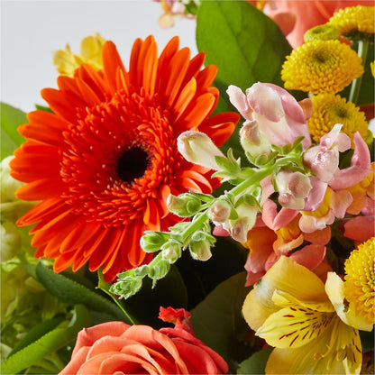 Autumn Sunshine Bouquet –  Eaton Floral Inc, Eaton OH