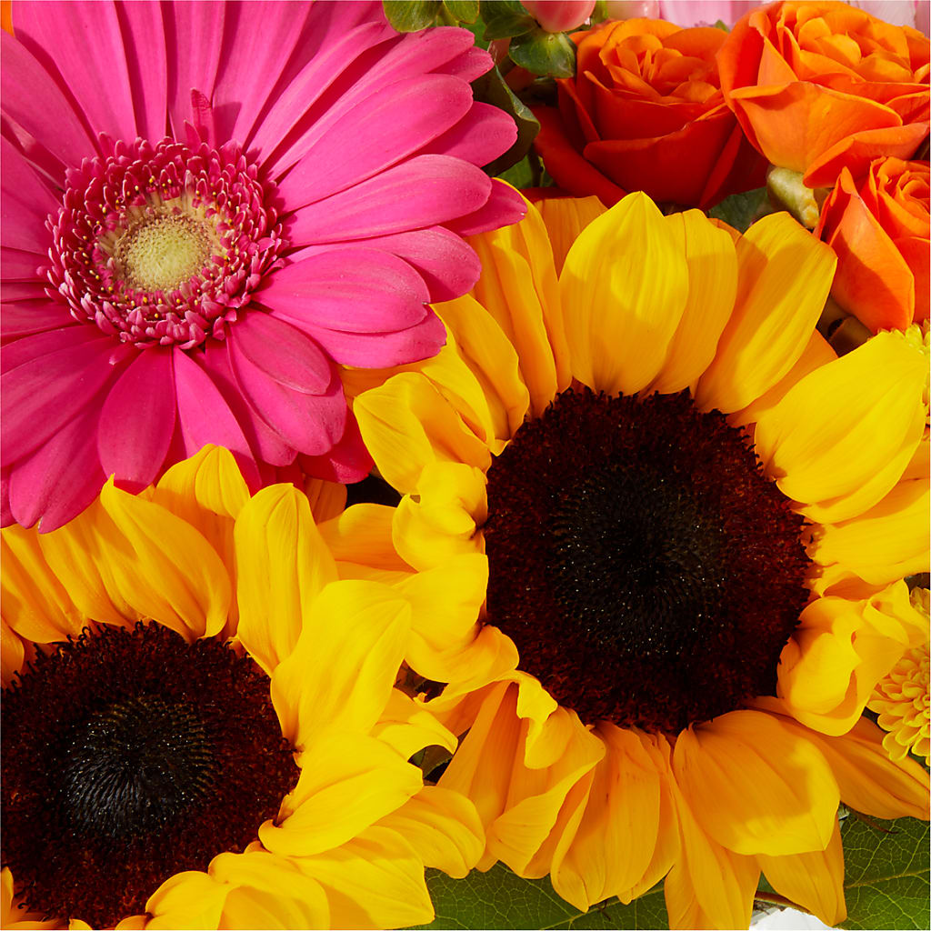 Beach Day Bouquet –  Eaton Floral Inc, Eaton OH