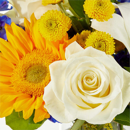 Stargazing Bouquet –  Eaton Floral Inc, Eaton OH