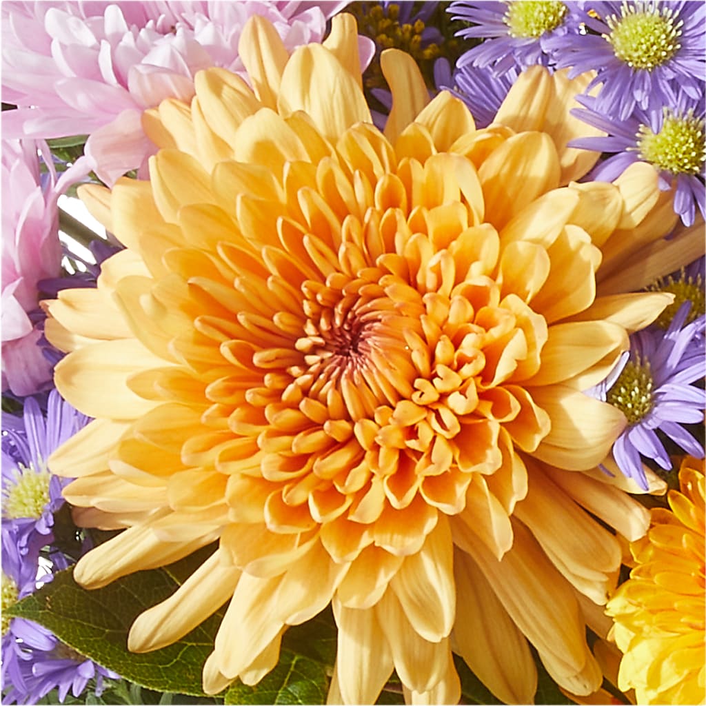 Countryside Bouquet –  Eaton Floral Inc, Eaton OH