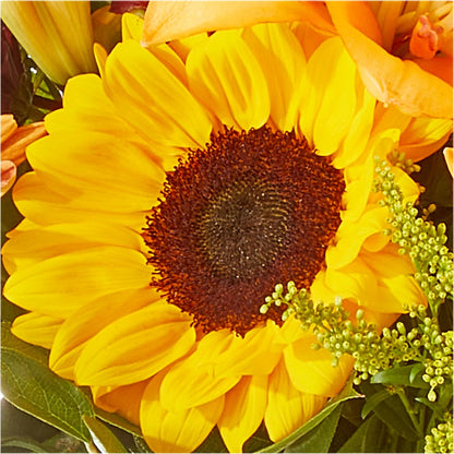 Seasons Change Bouquet –  Eaton Floral Inc, Eaton OH